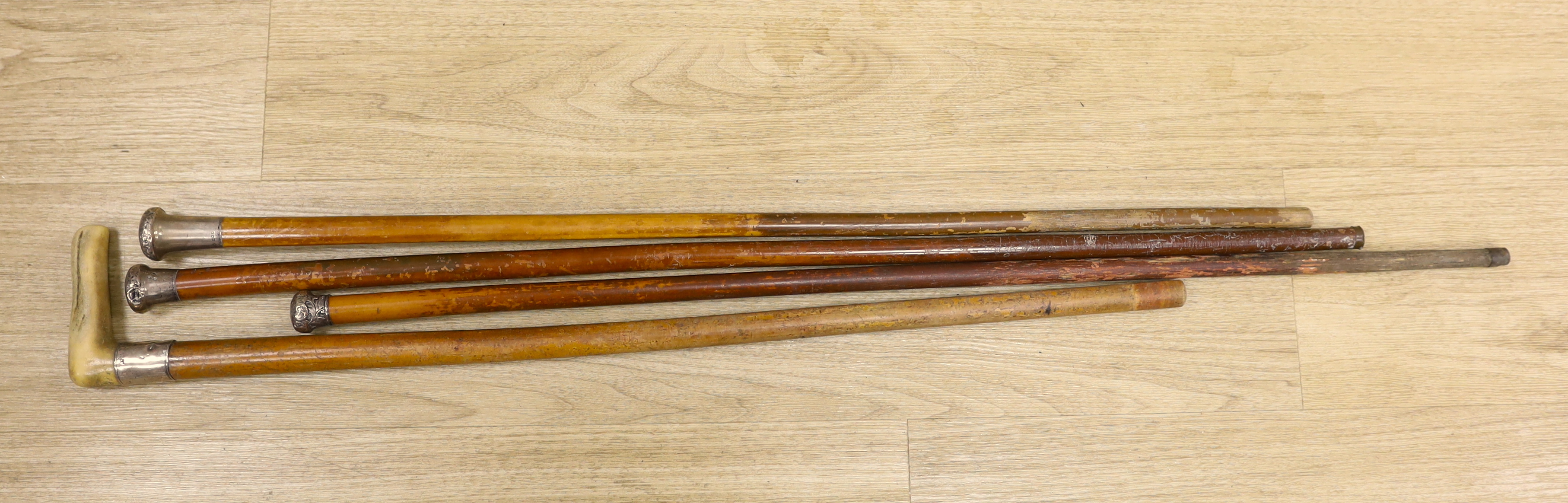 Four silver topped walking canes, one with antler handle